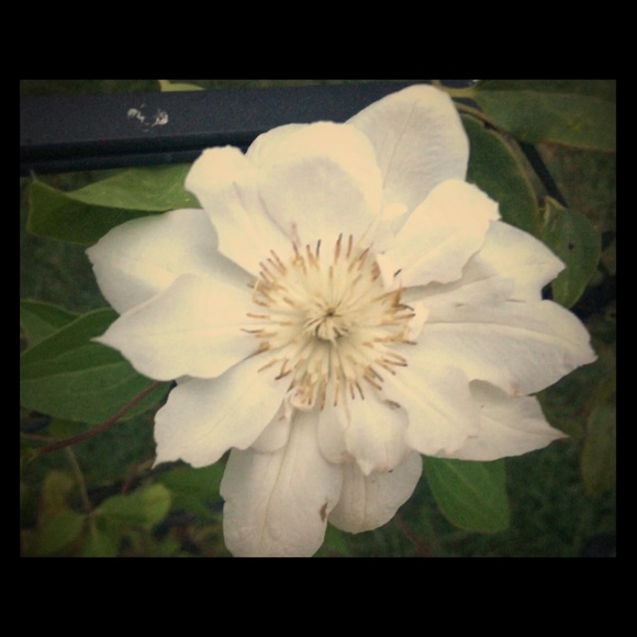 Meet your Posher - Picture 1 of 1